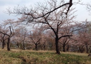 2015y09m08d 145923820