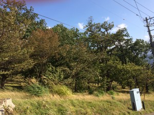 2015 10 02 14.32.01