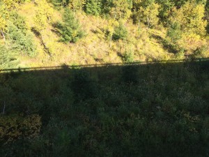 2015 10 06 12.43.09