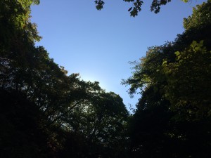 2015 10 06 13.12.28