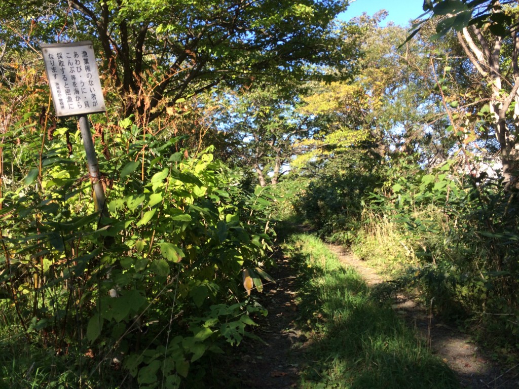 道