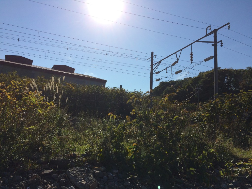 礼文塚