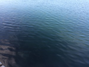 2015 10 06 15.13.27