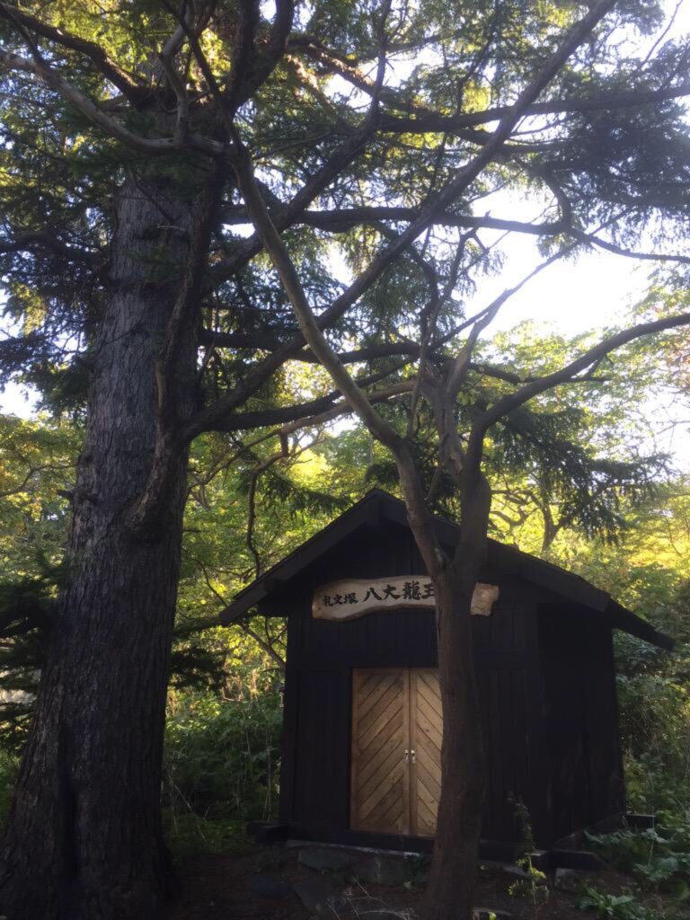 御神木と祠