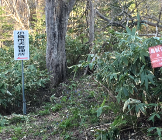 小樽市　犬管理所