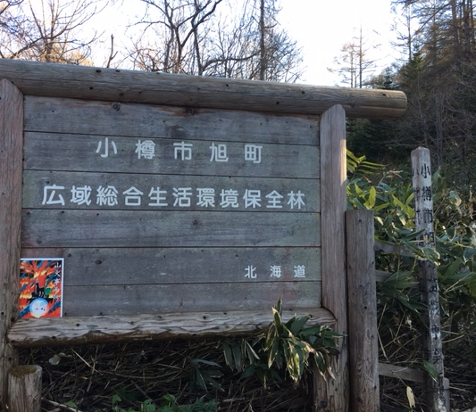 広域総合