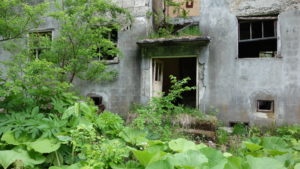 DSC01461