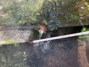 8baa6e98b759d134d0af76de5308eb46 scaled