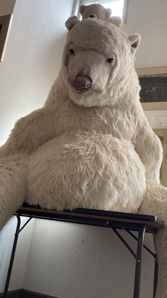 熊